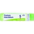 conium macul.tubo   5ch