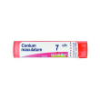 conium maculatum 7ch gr