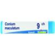 conium macul.tubo   9ch