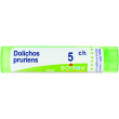 boiron dolichos pruriens 5ch gr 4g