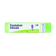 boiron equisetum hiemale 5ch gr 4g