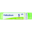 boiron folliculinum 5ch gr 4g