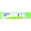 boiron formica rufa 05ch tubo granuli 4g