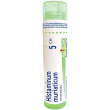boiron histaminum 5ch granuli tubo