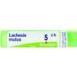 boiron lachesis mutus 5ch medicinale omeopatico granuli 4g