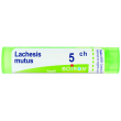 bo.lachesis mutus 5ch tubo