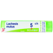 lachesis mutus 5 ch granuli 4g