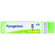 boiron pyrogenium 5ch granuli 4 grammi