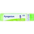 pyrogenium tubo   5ch