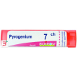 pyrogenium 7 ch granuli 4g