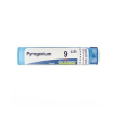 boiron pyrogenium 9ch gr 4g
