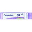 bo.pyrogenium 30ch tubo