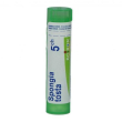 boiron spongia tosta 5ch gr
