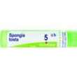spongia tosta tubo   5ch