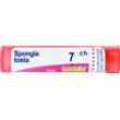 spongia tosta tubo   7ch