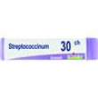 streptococcus tubo 30ch