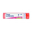 boiron thuya occidentalis 7ch granuli tubo