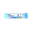 thuya occident 9ch gr