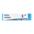 arnica montana 9ch gl 1 g globuli