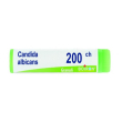 bo.candida albicans    200ch