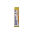 boiron calcarea carbonica ostrearum 1mk globuli