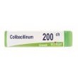 boiron colibacillinum 200ch globuli tubo 1 g