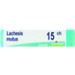 lachesis mutus dose  15ch