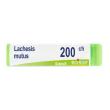 boiron lachesis mutus 200ch globuli tubo