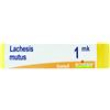 lachesis mutus dose mk