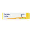 lachesis mutus mk gl 1 g globuli