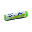 ledum palust 200ch gl
