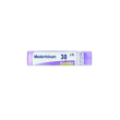 medorrhinum dose   30ch