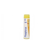 bo.phosphorus   mk dose