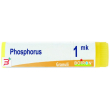 phosphorus mk globuli 1g