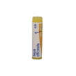 sepia officinalis mk globuli