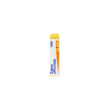 bo.sepia officinalis   xmk