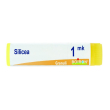 silicea mk globuli monodose boiron