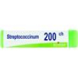 streptococcus dose  200ch