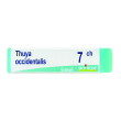 thuya occidentalis 7ch globuli monodose boiron