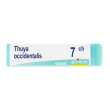 boiron thuya occident 7ch globuli tubo dose 1g 1 g