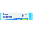 bo.thuya occ.dose    9ch