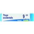 thuya occ.dose   9ch
