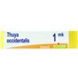 cemon thuya occidentalis mk globuli