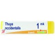 thuya occidentalis mk globuli 1g