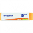 tubercolinum xmk gl bo