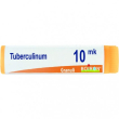 bo.tubercolinum   xmk  dose