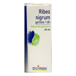 boiron® ribes nigrum gemme 1 dh 60 ml estratto