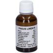 fagus lindas gocce 30 ml orali