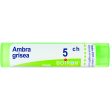 ambra grisea tubo   5ch