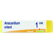 boiron anacardium orien mk gl 1g